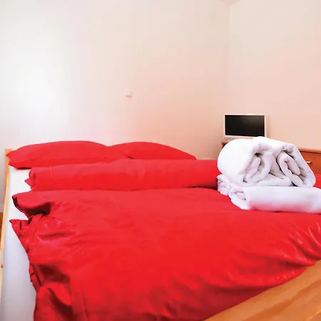 Pet Friendly In Apartment Nin