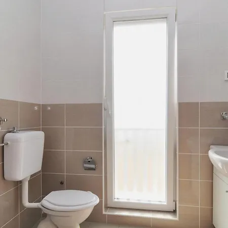 Pet Friendly In Apartment